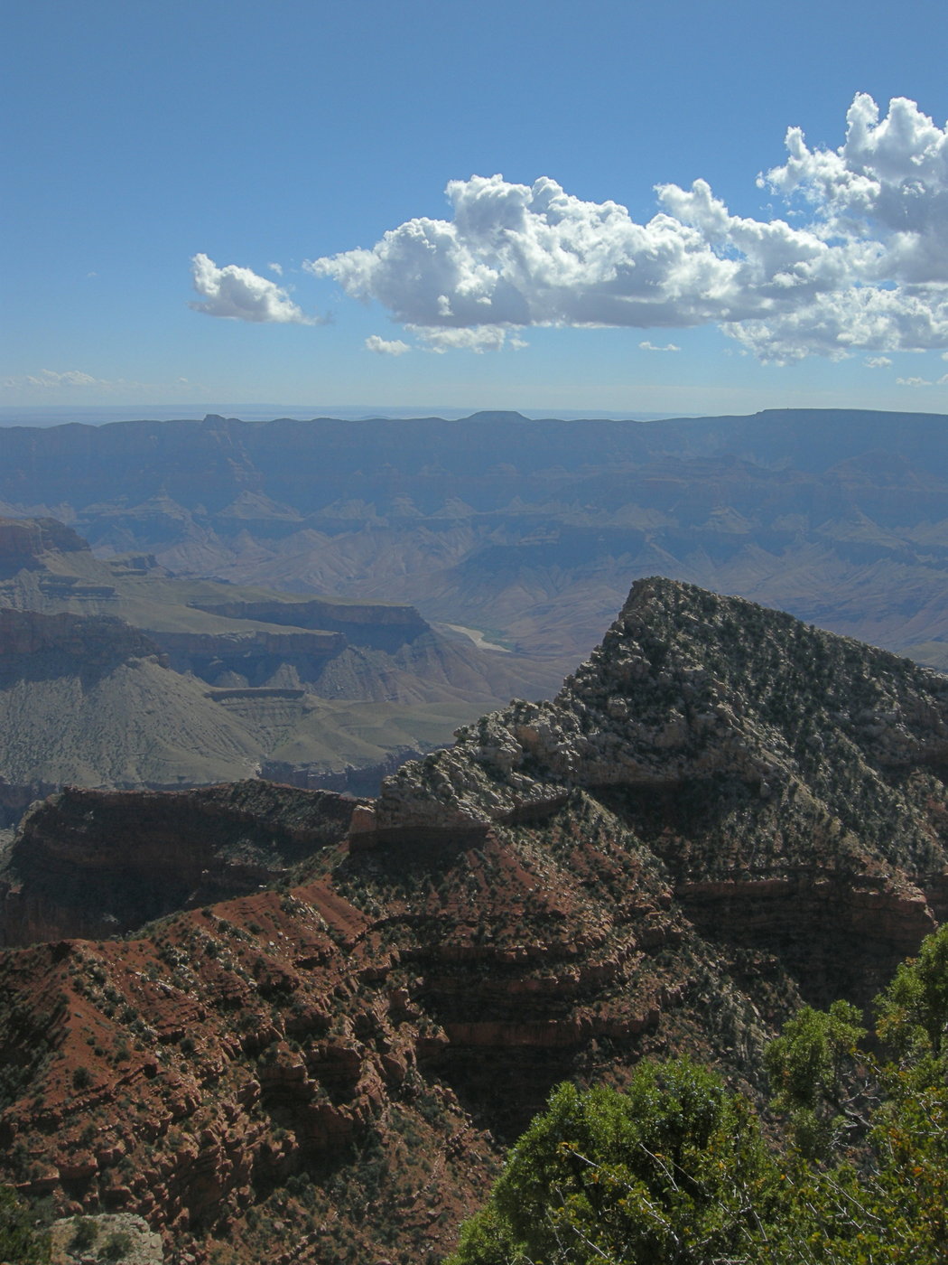 View from Cape Royal