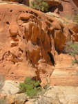 Weathered Rock at Capitol Reef National Park