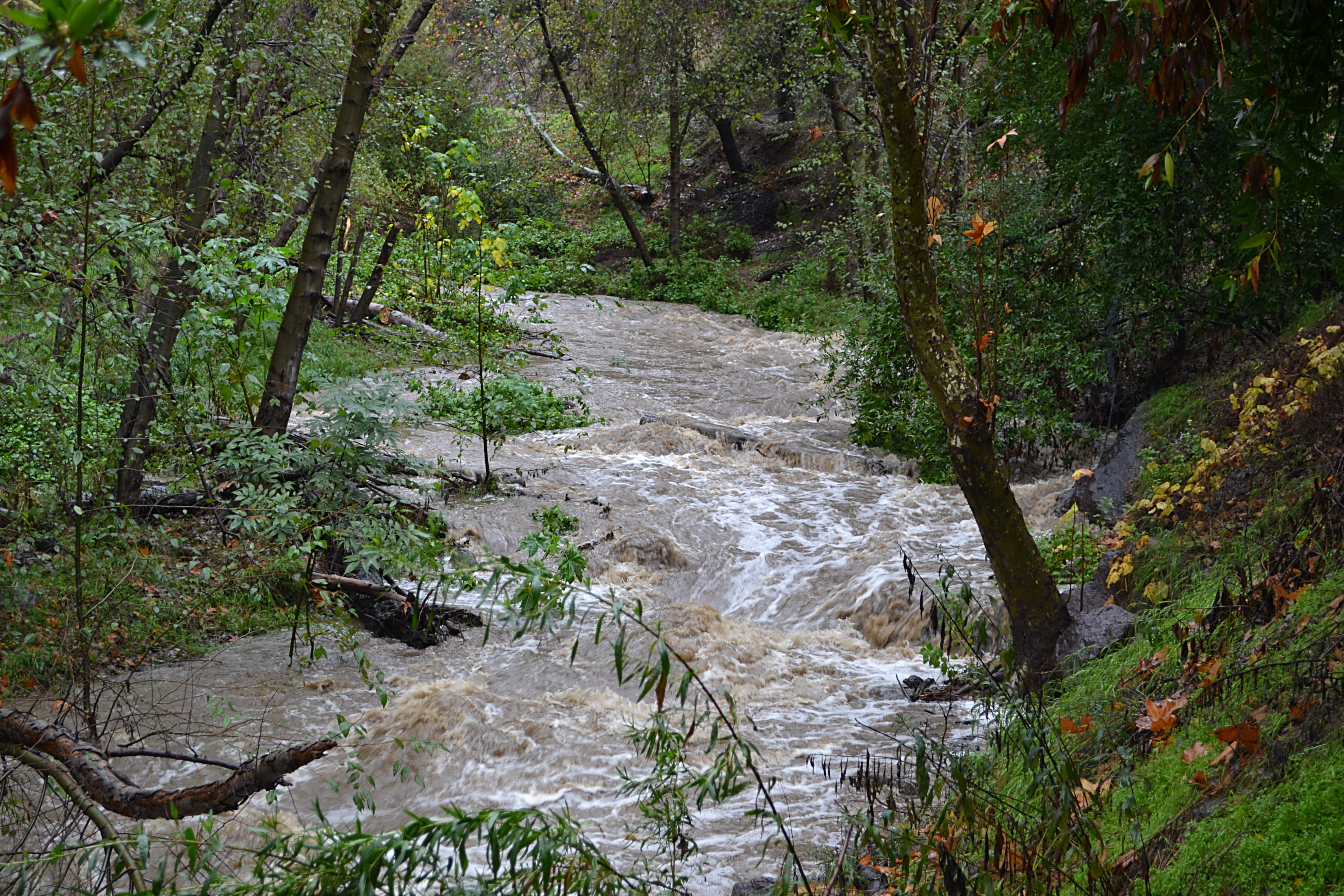 San Dimas Canyon