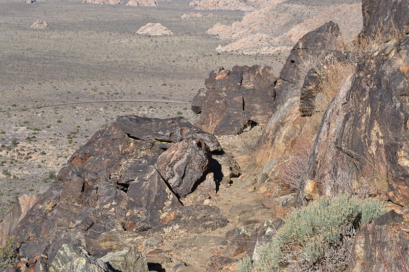 You call this a trail?