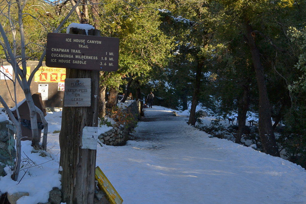 Icy Trailhead
