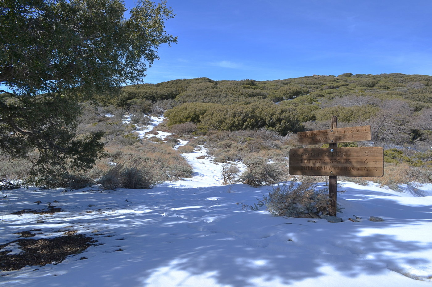 Plenty of snow on the ridge