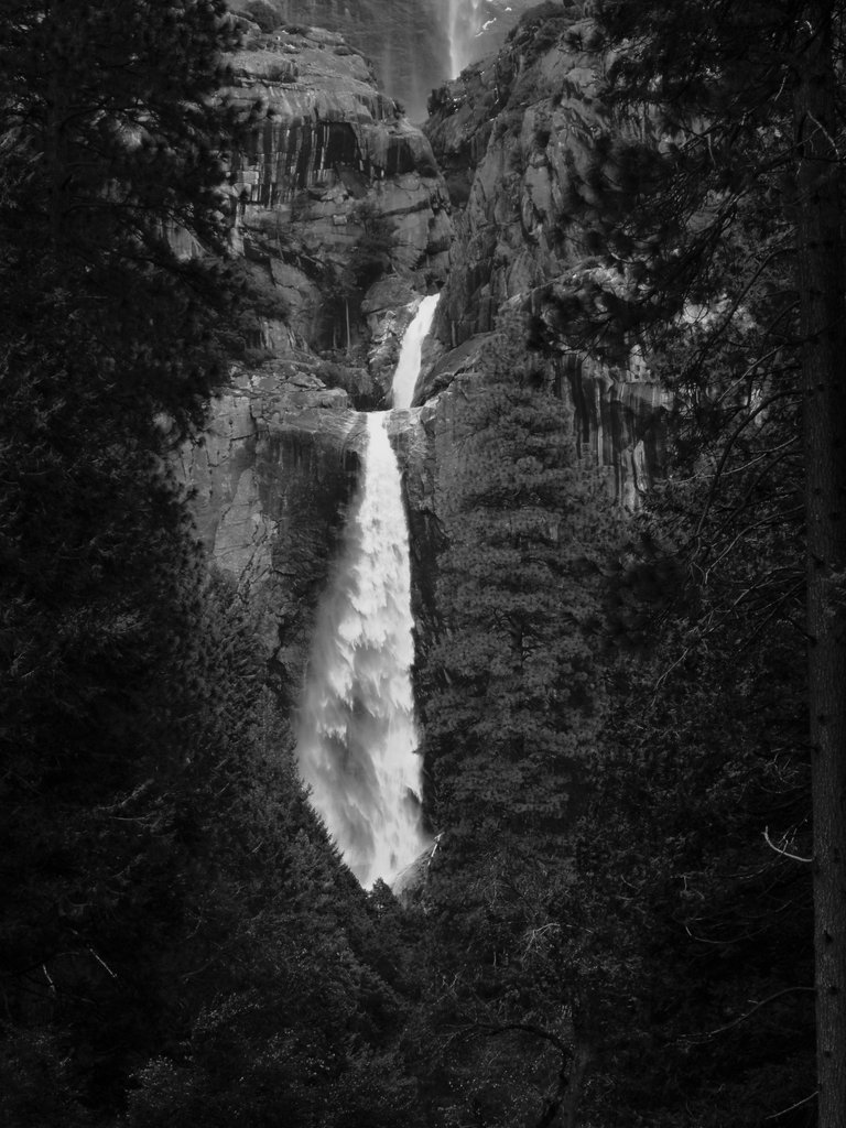 Lower Yosemite Falls in Black and White