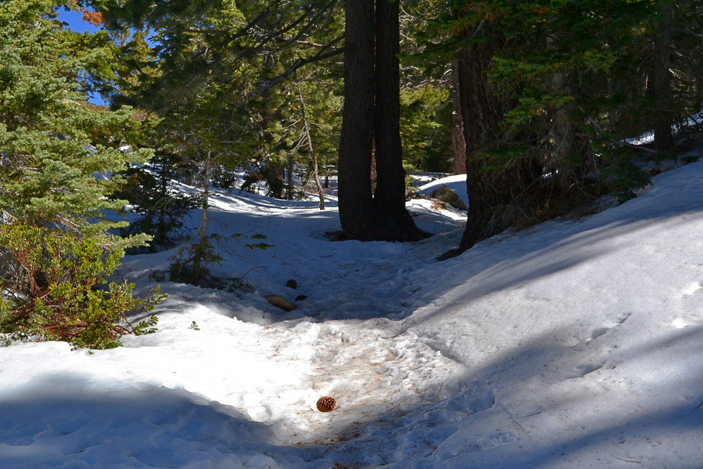 Lots of ice and snow near the top