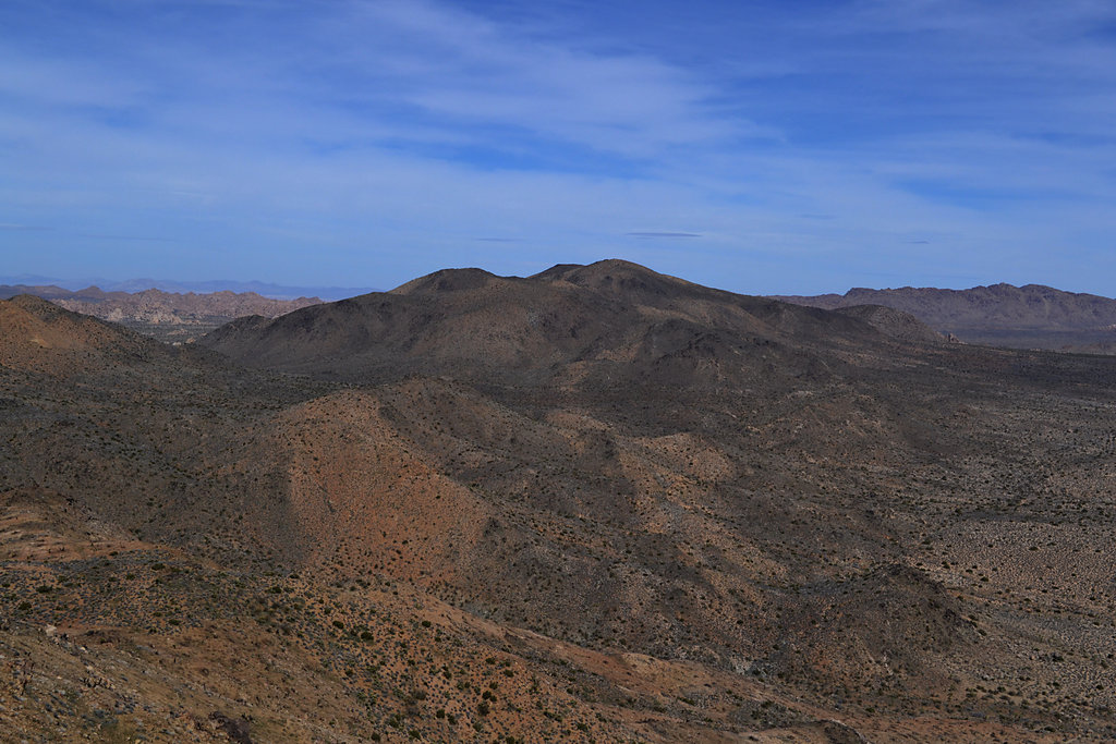 Ryan Mountain from Lost Horse Mine