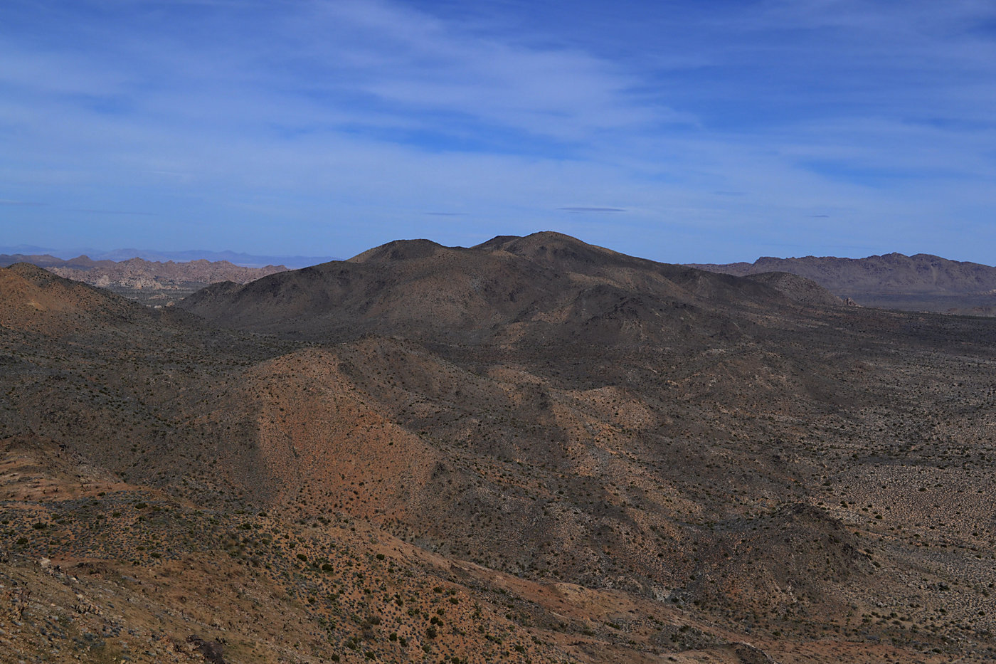 Ryan Mountain from Lost Horse Mine