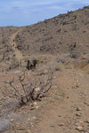 Trail to the Lost Horse Mine