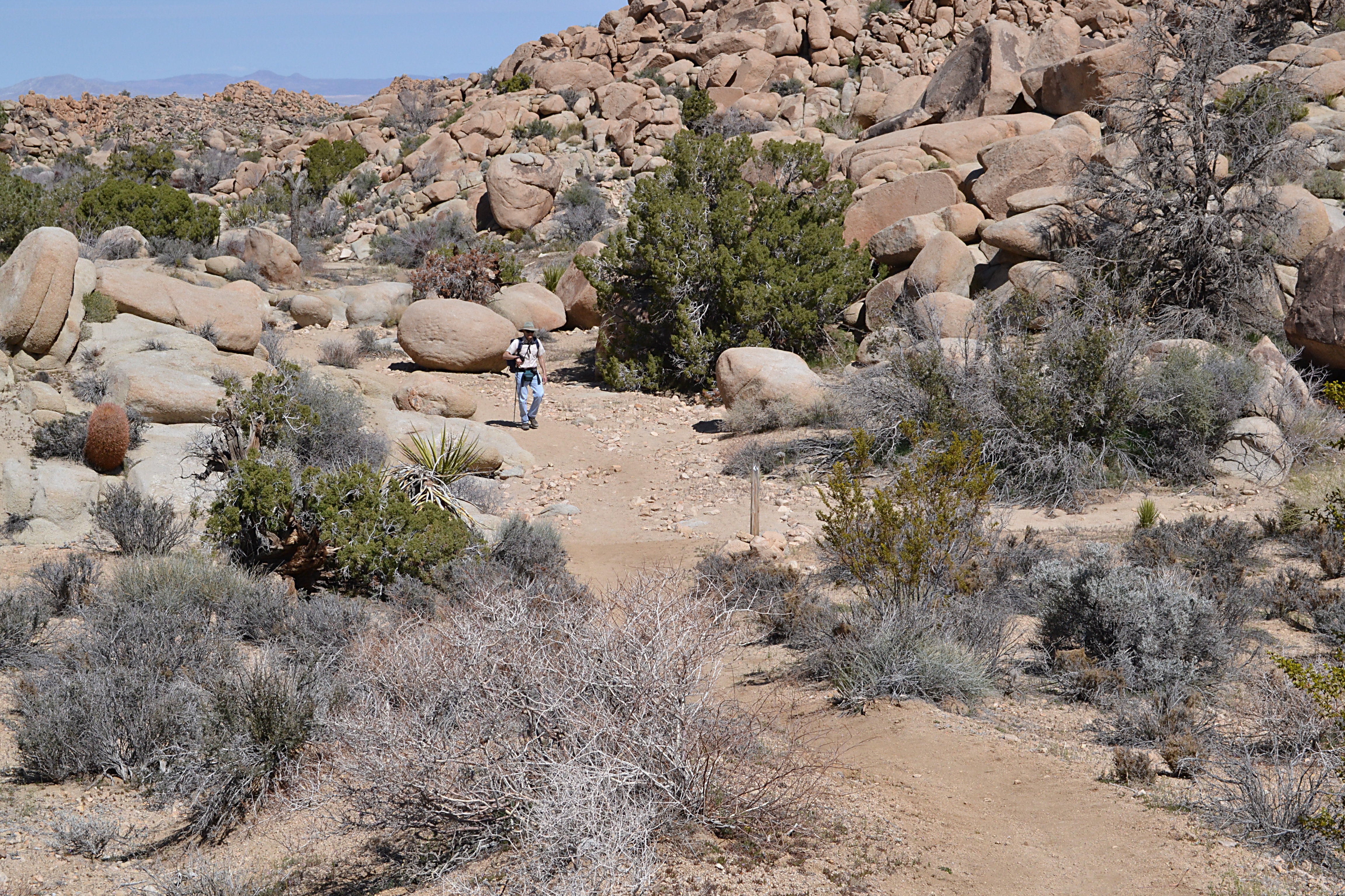 Tom showed up coming from the other end of the Boyscout Trail