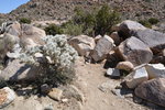 Keep to the right on this part of the Boyscout Trail