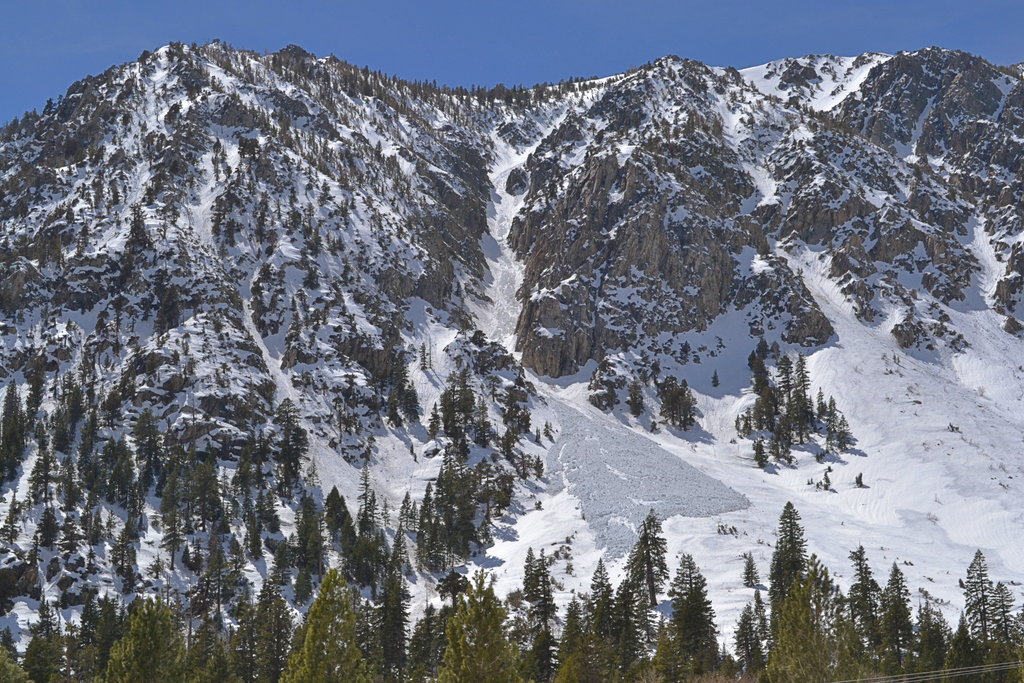 Avalanche debris