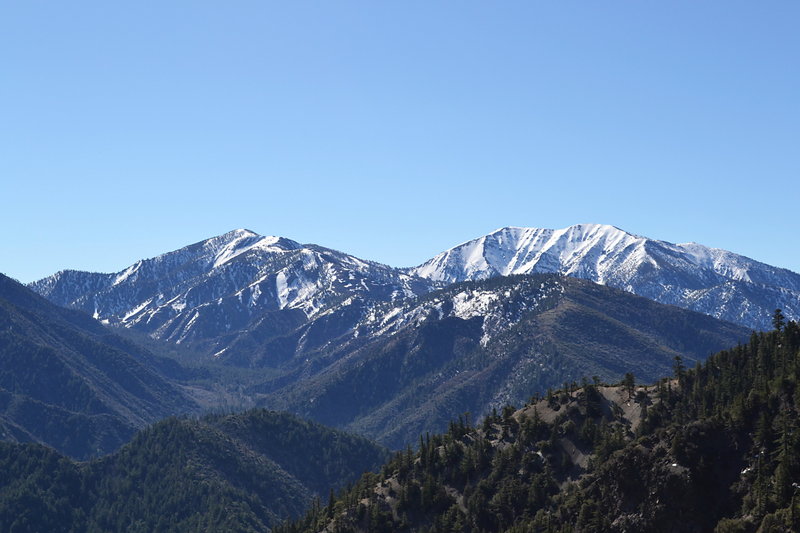 View of Mt. Baldy from the trail