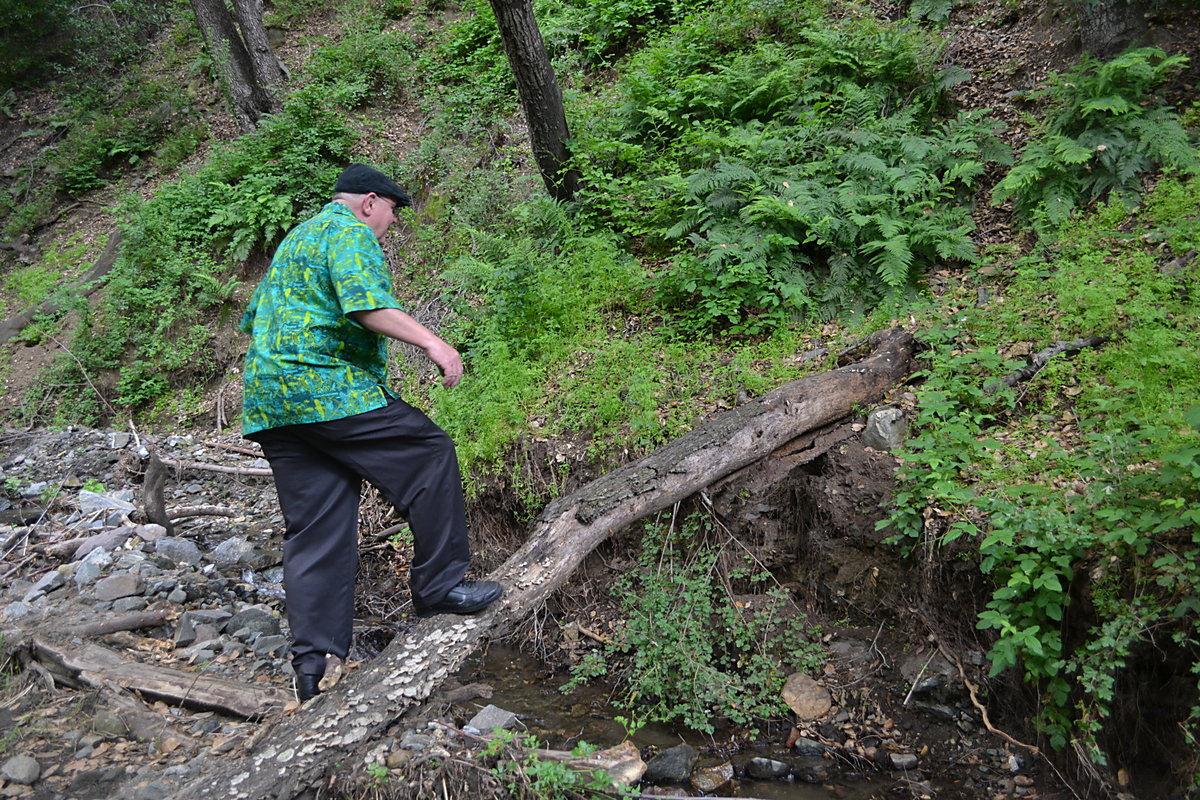 SKE on a log