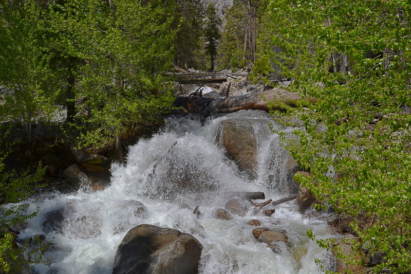 Creek and Footbridge near Roads End