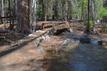 Footbridge for the trail leading up the Kings River