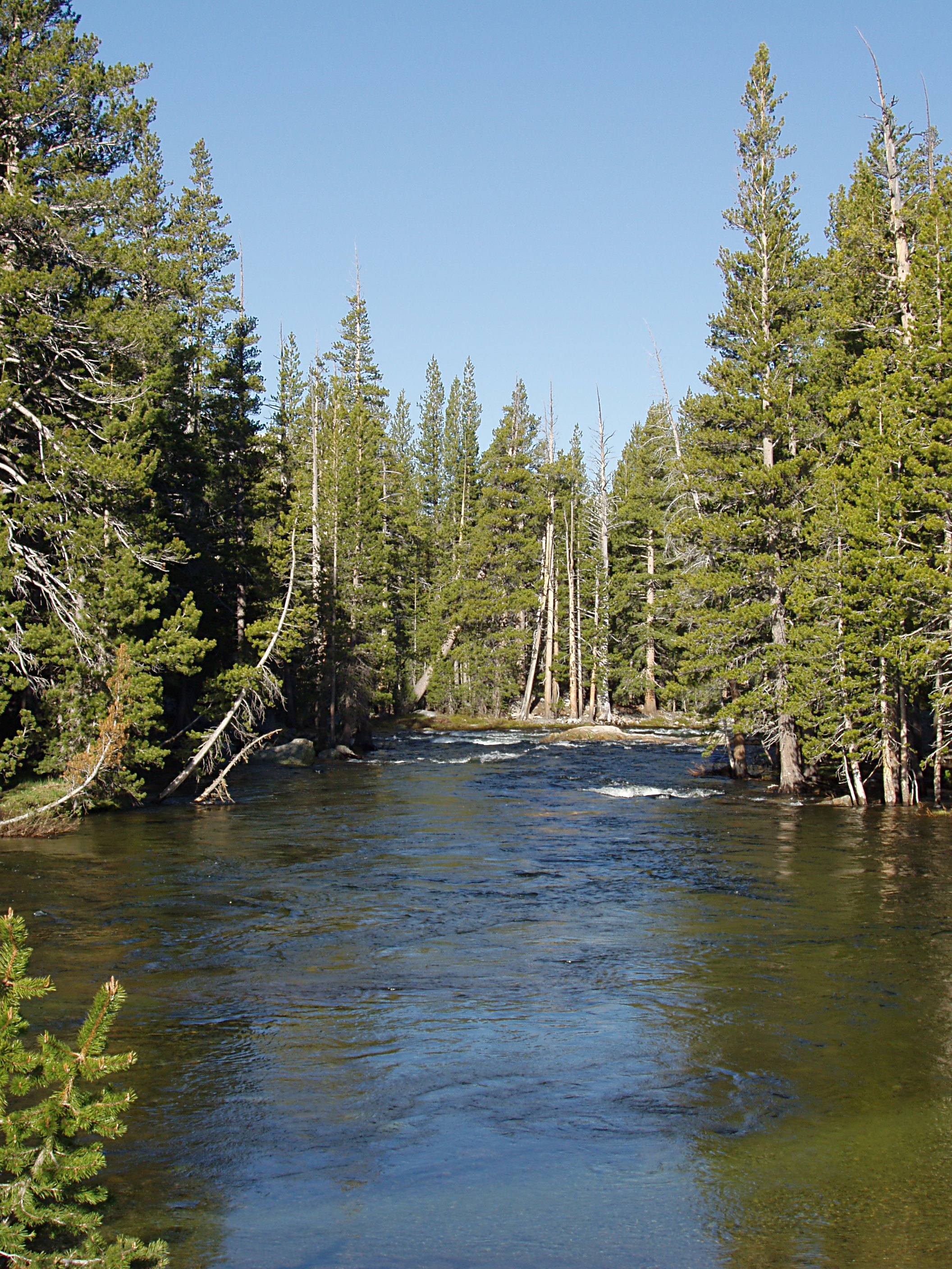 Tuolumne River