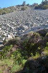 Rock Slides