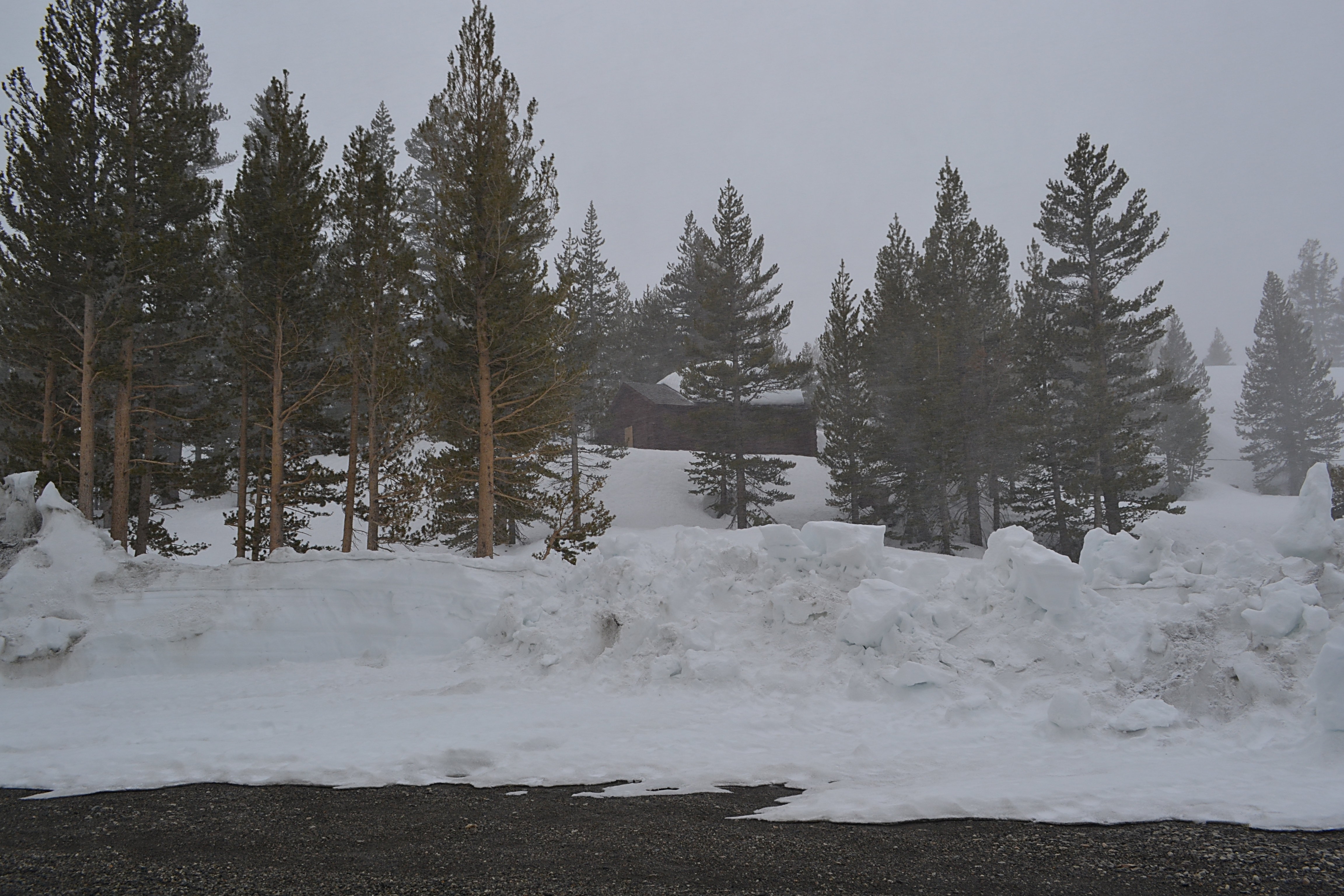 Tioga Pass Resort