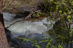 North Fork Big Pine Creek