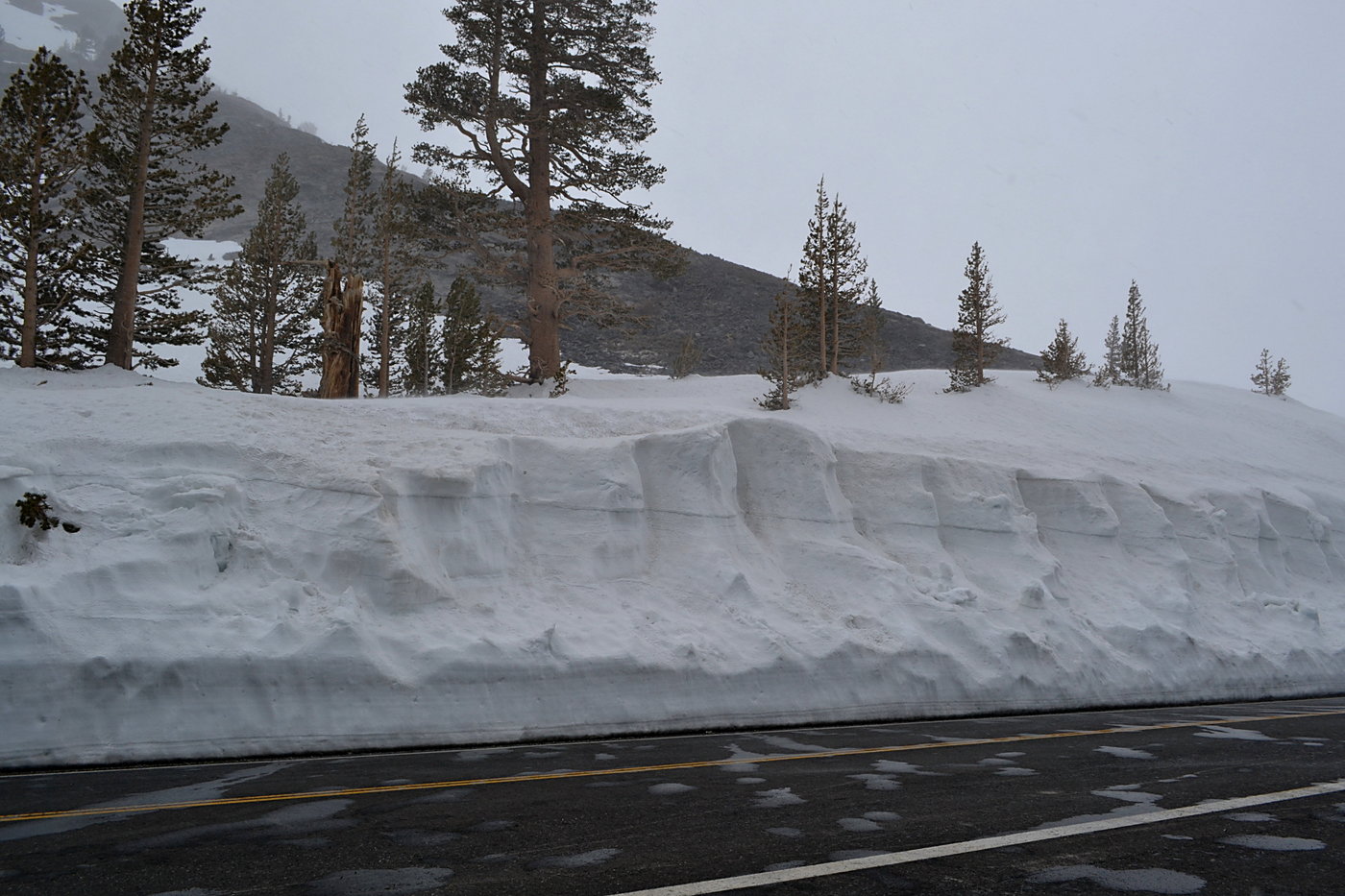 Snow near Tioga Pass