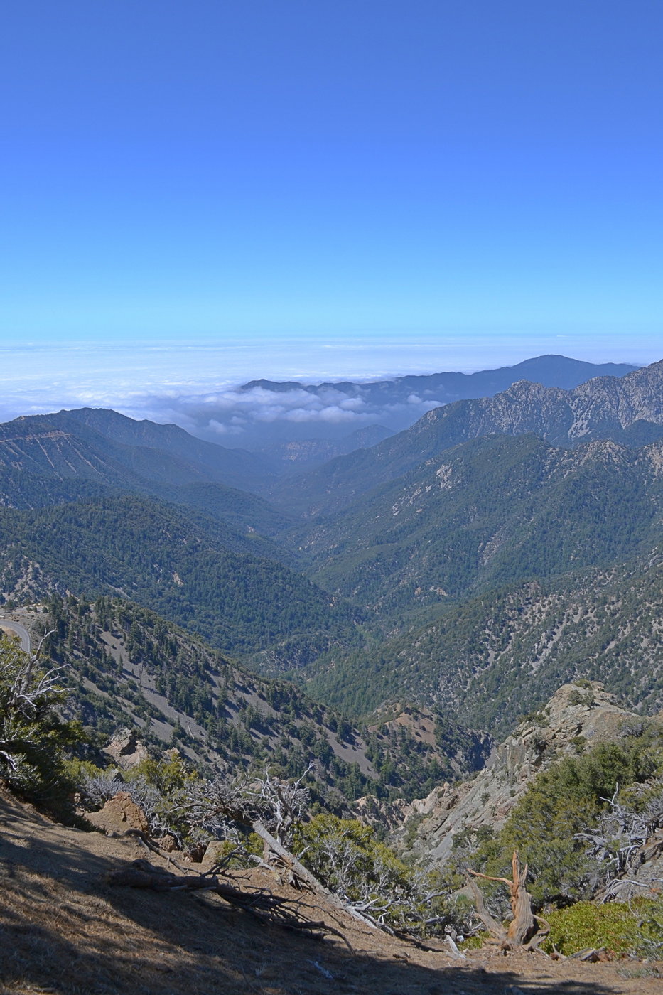 Looking down Bear Creek from the Mount Williamson Trail