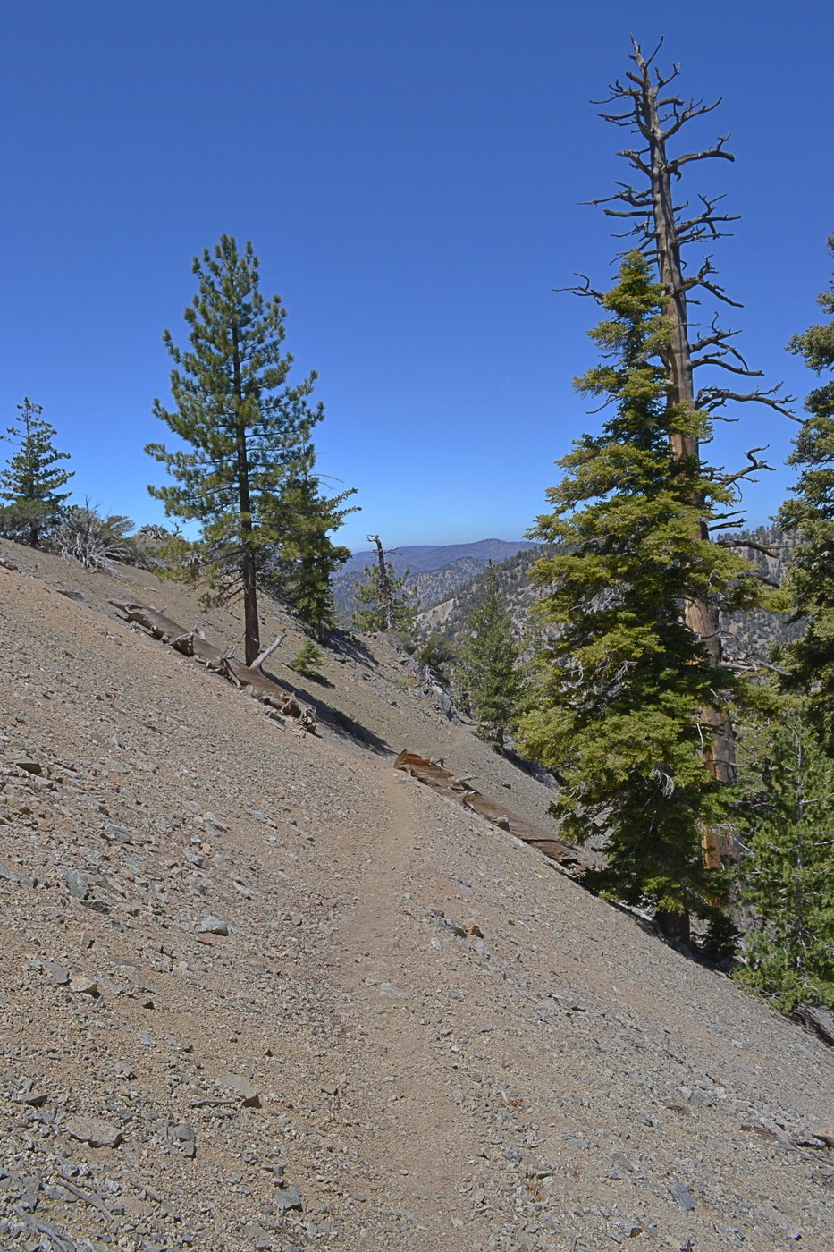 Pacific Crest Trail