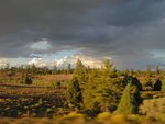 Fleeing the storm