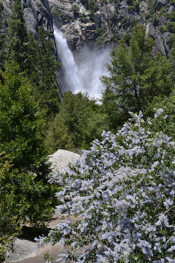 Cascade Falls