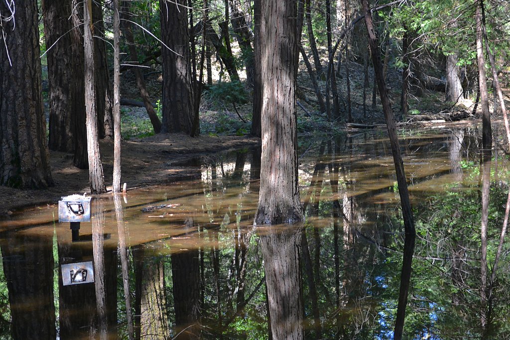 Flooded picnic area