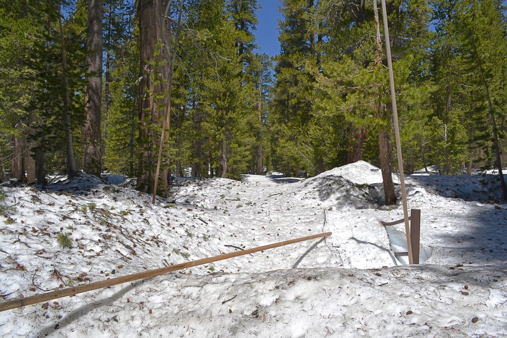 Is Porcupine Flat Campground open yet?