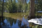 Sunrise Trail crossing Tenaya Creek