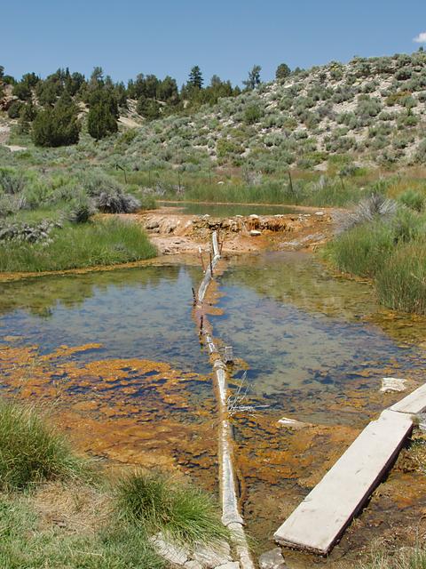 Feed System at Little Hot Creek