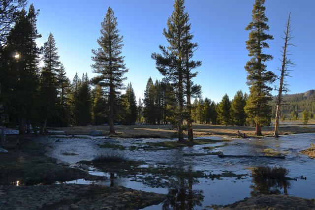 Unicorn Creek at Tuolumne Meadows