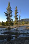 Tuolumne Meadows 