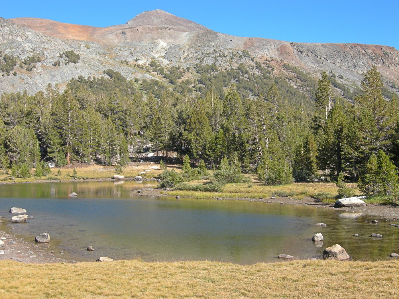 Dana Meadows and Mount Dana