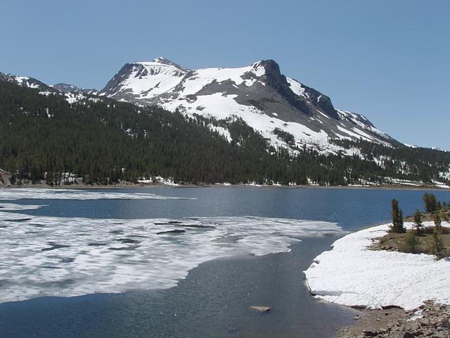 Mt. Dana and Tioga Lake