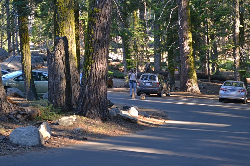 At the trailhead