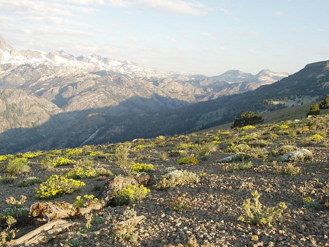 Upper San Joaquin River Drainage