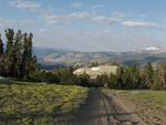 Lonely Dirt Road Near Mammoth Mountain