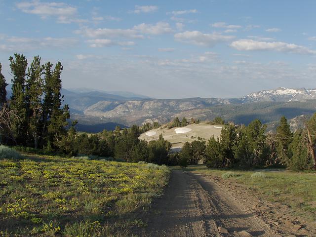 Lonely Dirt Road Near Mammoth Mountain