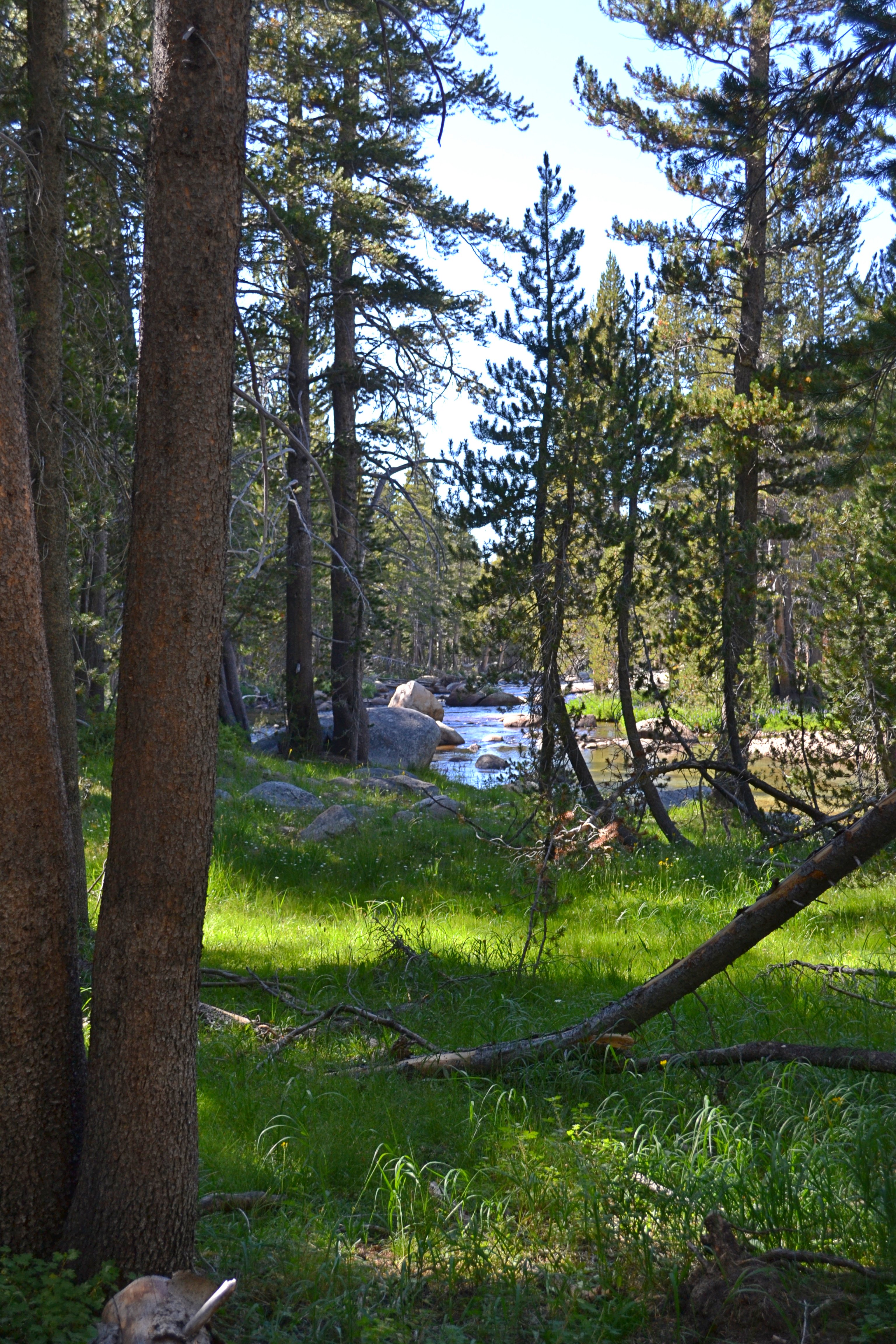Tuolumne River