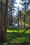 Tuolumne River