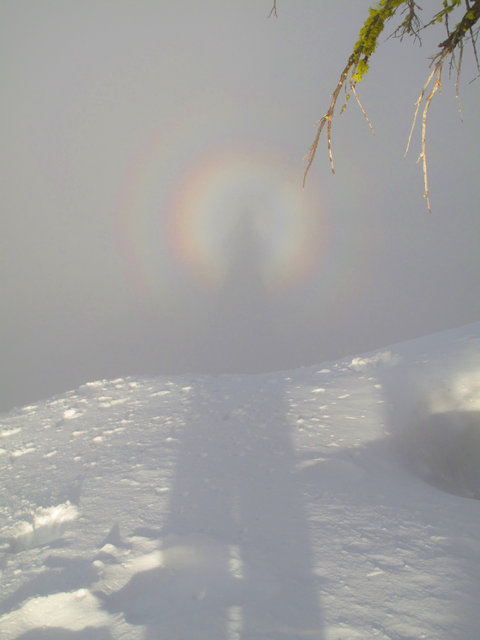 Brocken spectre at Dewey Point