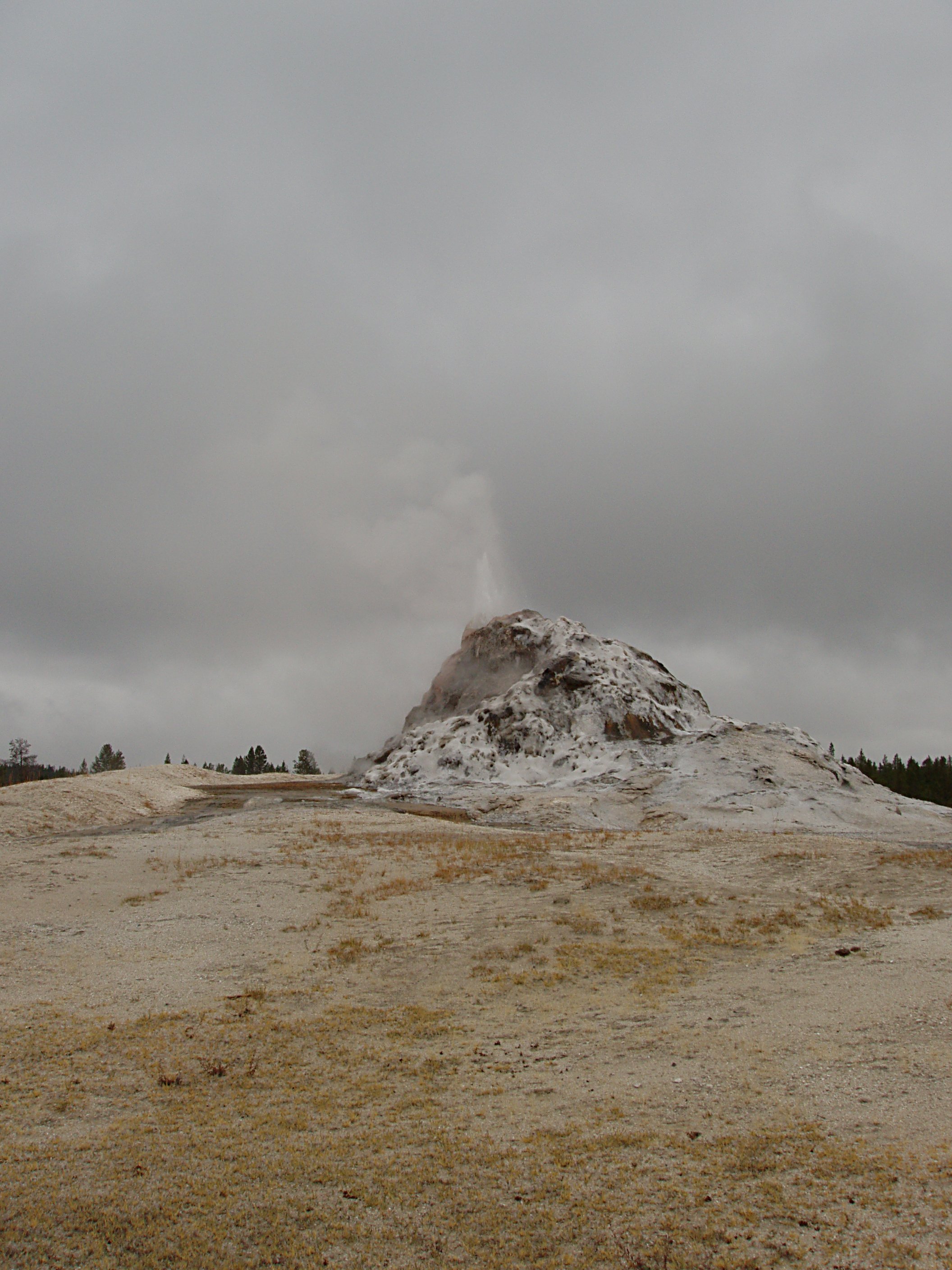 White Dome Geyser Erupting on a Gray Day