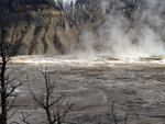 Mammoth Hot Springs