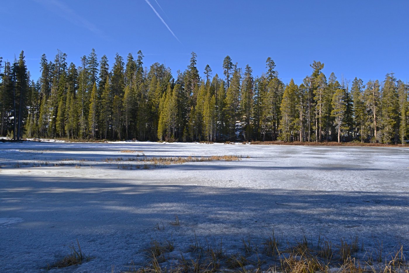 Siesta Lake