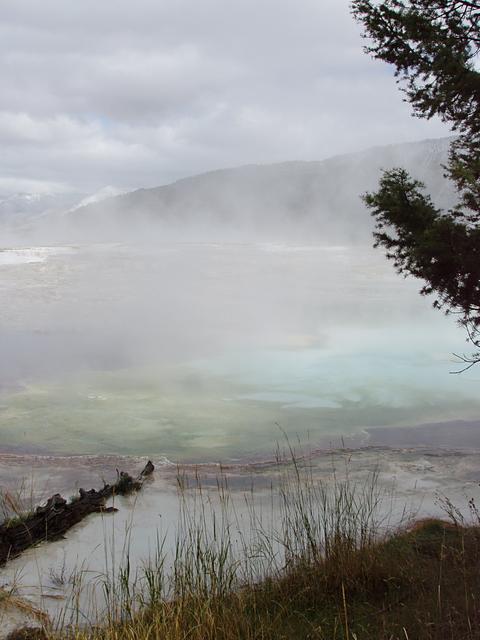 Mammoth Hot Springs