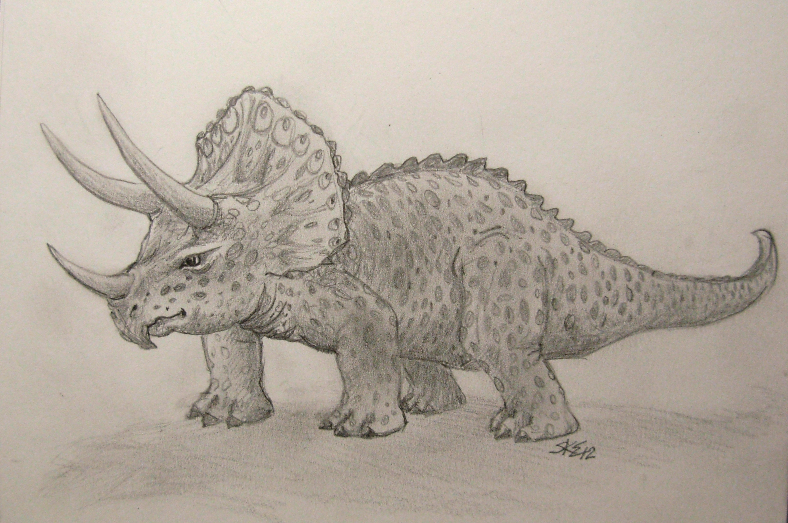 Drawing Triceretops