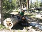 Yosemite 2011 043