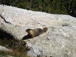 Yosemite 2011 199