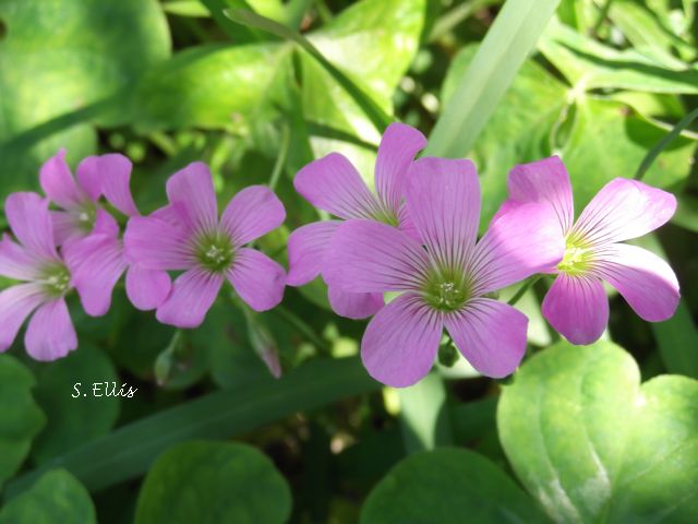 063resize